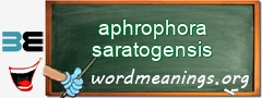 WordMeaning blackboard for aphrophora saratogensis